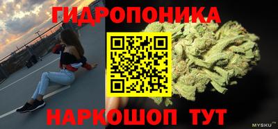 ешки Камышлов